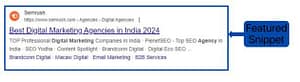 10 Best SEO Techniques You Must Know in 2024 5 Featured Snippet as an added importance of SEO Technique